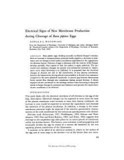 Electrical Signs of New Membrane Production