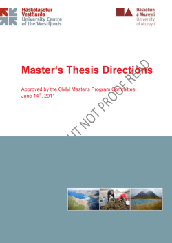 Master`s Thesis Directions