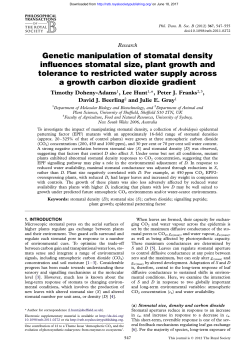 Genetic manipulation of stomatal density influences stomatal size