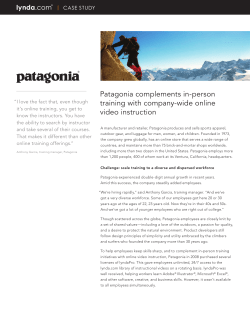 Patagonia complements in-person training with