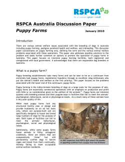 RSPCA Puppy Farm Discussion Paper