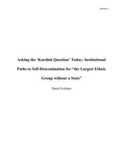 Asking the `Kurdish Question` Today: Institutional Paths to Self