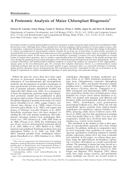 A Proteomic Analysis of Maize Chloroplast Biogenesis