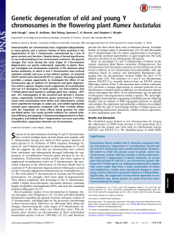 Genetic degeneration of old and young Y