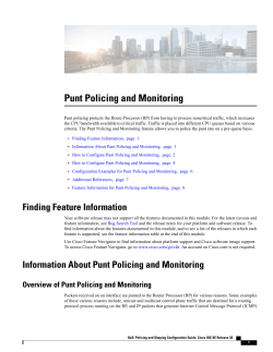 Punt Policing and Monitoring