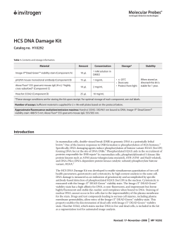 HCS DNA Damage Kit - Thermo Fisher Scientific