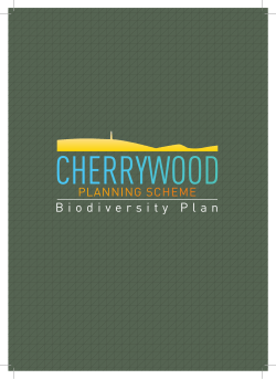 Cherrywood SDZ Biodiversity Plan with cover (pdf