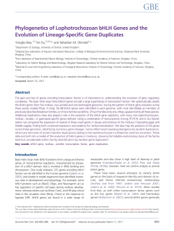 Phylogenetics of Lophotrochozoan bHLH Genes and the Evolution