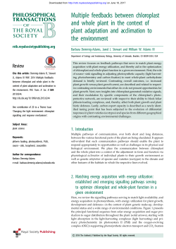 Multiple feedbacks between chloroplast and whole plant in the