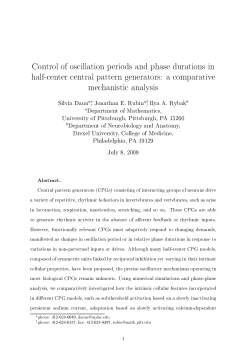 Control of oscillation periods and phase durations in half