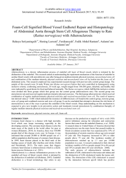 Foam-Cell Signified Blood Vessel Endhotel Repair