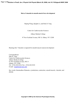 Role of vimentin in smooth muscle force development Ruping Wang