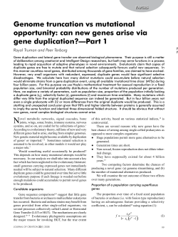 can new genes arise via gene duplication?