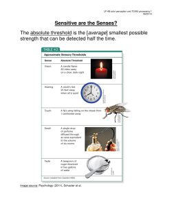 How do you explain afterimages?