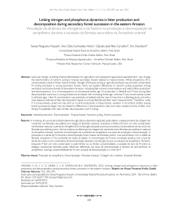 Linking nitrogen and phosphorus dynamics in litter