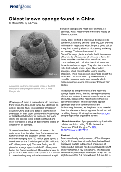 Oldest known sponge found in China