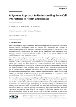 A Systems Approach to Understanding Bone Cell