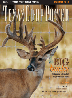 November 2006 - Texas Co