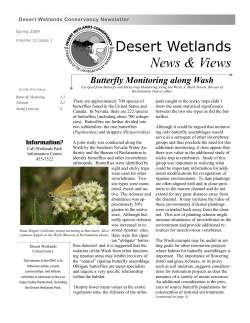 Spring 2009 Newsletter - Desert Wetlands Conservancy