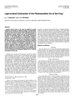 Light-evoked Contraction of the Photosensitive Iris of the Frog`