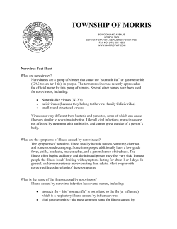 Norovirus Fact Sheet
