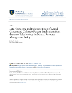 Late Pleistocene and Holocene Bison of Grand Canyon and