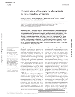 Orchestration of lymphocyte chemotaxis by mitochondrial