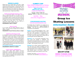 Group Ice Skating Lessons