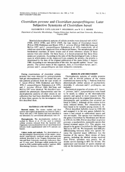Clostridium perenne and Clostridium paraperfringens