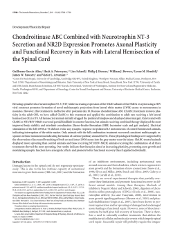 Chondroitinase ABC Combined with Neurotrophin NT