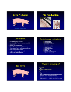 Swine Production