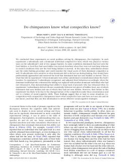 Do chimpanzees know what conspecifics know?