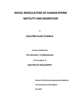 novel modulators of human sperm motility and migration