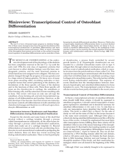 Minireview: Transcriptional Control of Osteoblast Differentiation