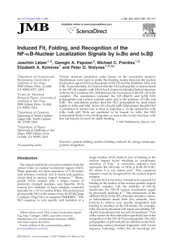 Induced Fit, Folding, and Recognition of the NF-&kappa;B