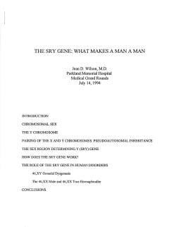 the sry gene: what makes aman aman