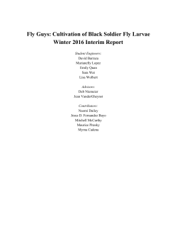 Fly Guys: Cultivation of Black Soldier Fly Larvae Winter 2016 Interim
