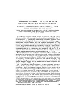 GENERATION OF DIVERSITY IN T CELL RECEPTOR