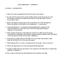 CELL BIOLOGY &ndash; SAMPLE 2