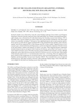 diet of the yellow-eyed penguin megadyptes antipodes, south island