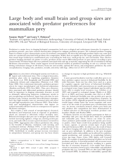 Large body and small brain and group sizes are