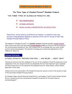 The Three Types of Standard Process&trade; Glandular Products Cytosol