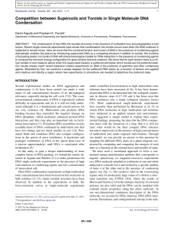 Competition between supercoils and toroids in single molecule DNA