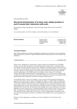 Structural biochemistry of nuclear actin related proteins 4 and 8