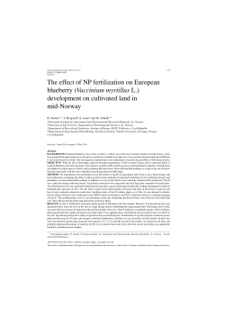 The effect of NP fertilization on European blueberry (Vaccinium