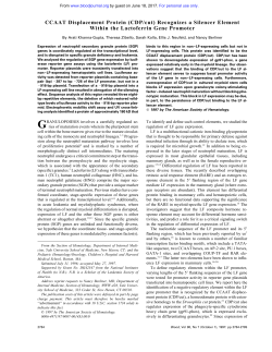 CCAAT Displacement Protein (CDP/cut) Recognizes