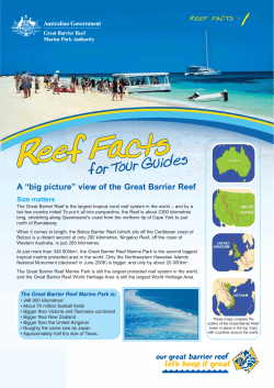 A &ldquo;big picture&rdquo; view of the Great Barrier Reef