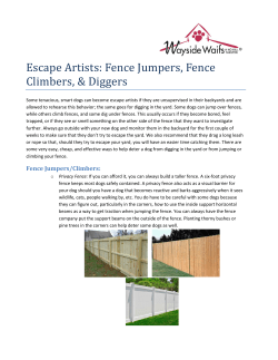 Escape Artists: Fence Jumpers, Fence Climbers