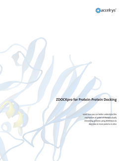 ZDOCKpro for Protein-Protein Docking