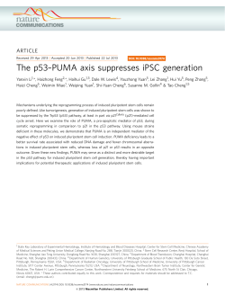 PUMA axis suppresses iPSC generation